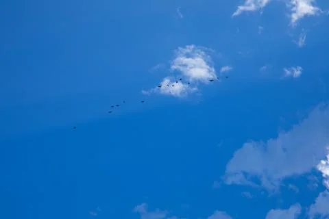 Beautiful blue sky background with tiny clouds. Stock Photos