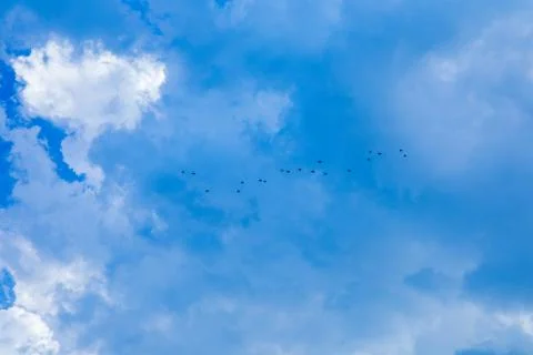 Beautiful blue sky background with tiny clouds. Foto stock