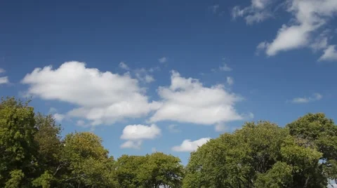 Beautiful blue sky with clouds and trees. Stockbeeldmateriaal 68595734
