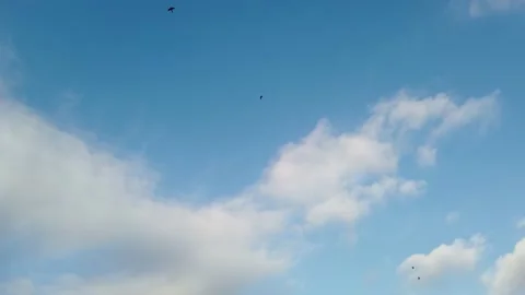 Beautiful blue sky with clouds for background. Birds flying Video stock 224553650