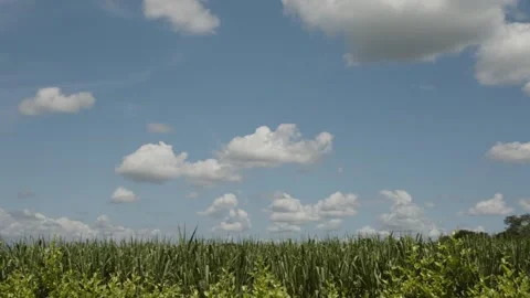 Beautiful blue sky with clouds over a field in Colombia, South America. Stock Footage 258199685