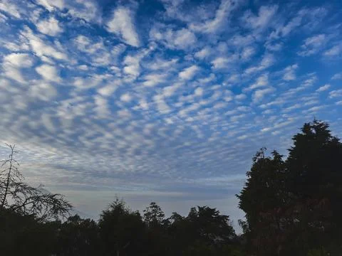 Beautiful blue sky filled with patterned clouds over a forest landscape Stock Photos