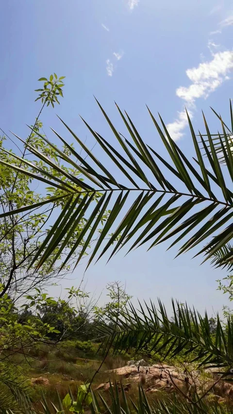 Beautiful blue sky Stock Footage 127693091