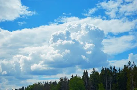 Beautiful blue sky with large clouds over a coniferous forest. Stock Photos