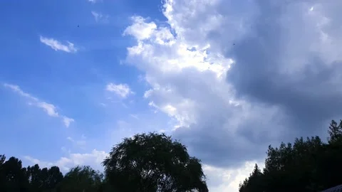 Beautiful blue sky with moving clouds and dragonfly Stock Footage 145711156