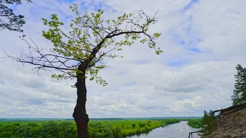 Beautiful blue sky with running clouds over river. Stock Footage 104710316