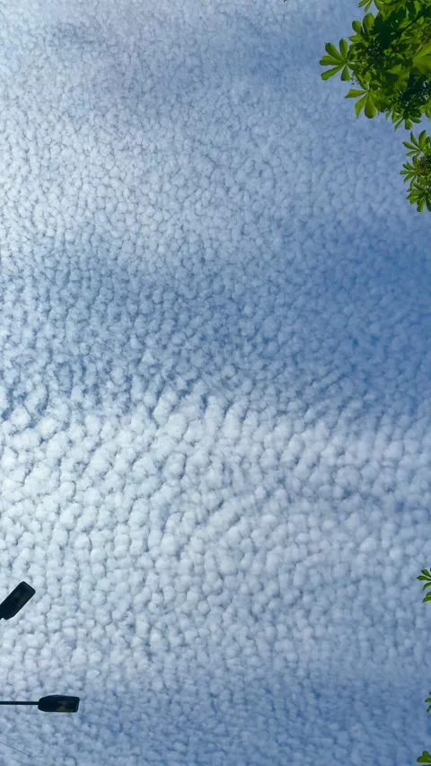 Beautiful blue sky with soft white clouds for abstract background Stock Footage 310469079