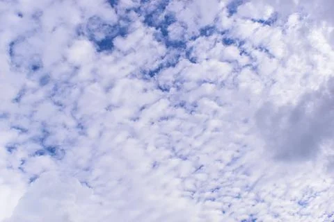 Beautiful blue sky with sunlight in springtime Photos