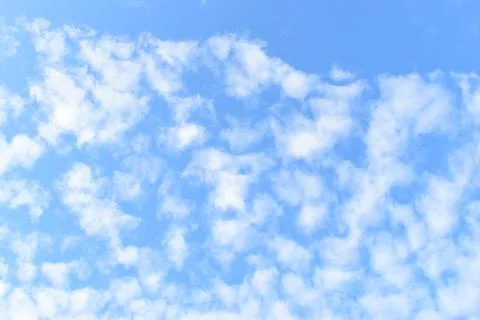 Beautiful blue sky with sunlight in springtime Photos