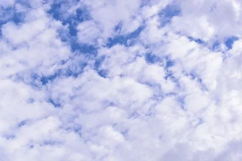 Beautiful blue sky with sunlight in springtime Stock Photos