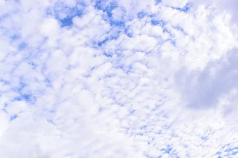 Beautiful blue sky with sunlight in springtime Stock Photos