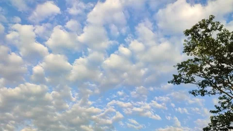 Beautiful blue sky with white cloud and a tree in the afternoon. Stock Footage 243911896