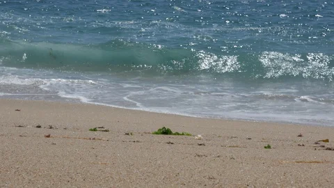 Beautiful blue waves with white surf break on sandy beach with seaweed Stock Footage 111704053