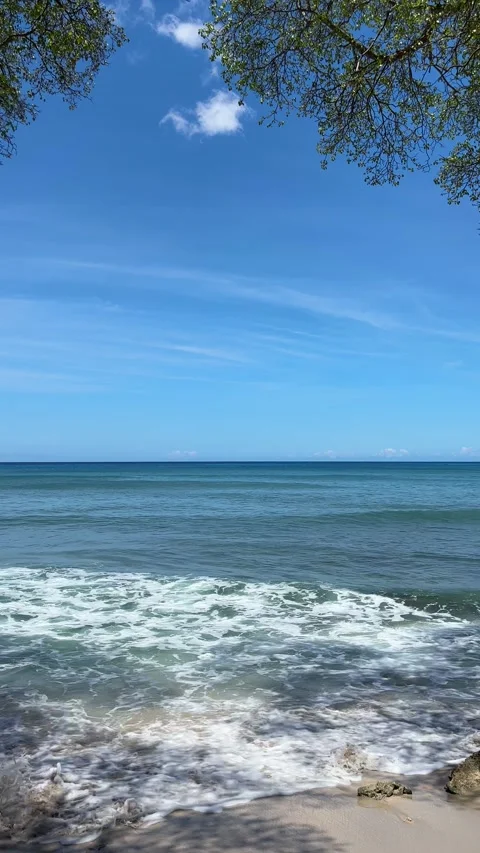 Beautiful bluebird day with waves rolling into rocks on tropical island Stock Footage 335895019