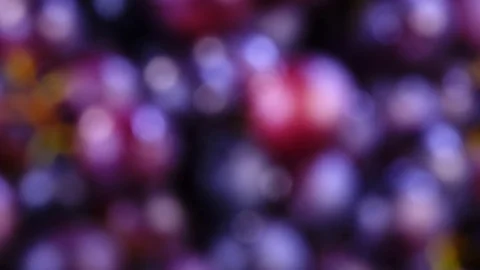 Beautiful blur background with unfocused bunch of red grapes in 4K Видео 78100613