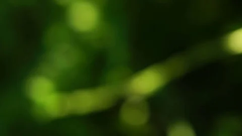 Beautiful blurred abstract background. Stock Footage 77011726