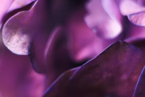 Beautiful blurred pattern for designer. Stock Photos