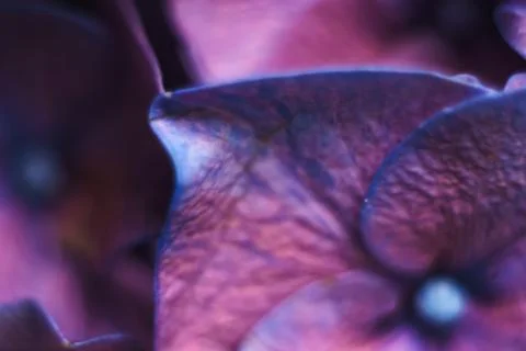 Beautiful blurred pattern for designer. Stock Photos