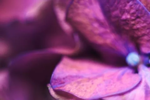 Beautiful blurred pattern for designer. Stock Photos