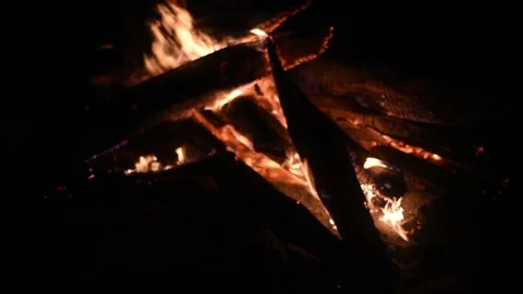 Beautiful bonfire and fire, divorced by people, burning logs, firewood at night. Video stock 129707397
