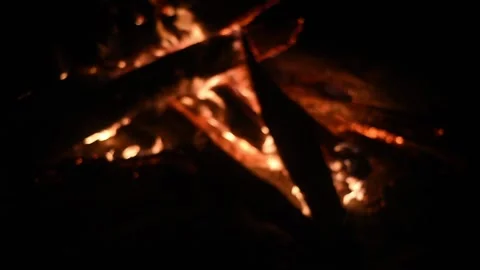 Beautiful bonfire and fire, divorced by people, burning logs, firewood at night. Stock-Footage 129707450