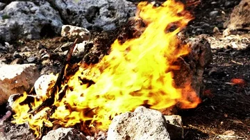 Beautiful bonfire flame in the forest Stock Footage 85475159
