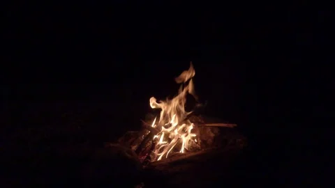 Beautiful bonfire at night Stock Footage 255784079