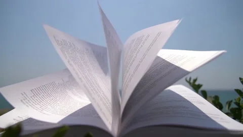 Beautiful book Stock Footage 131104544