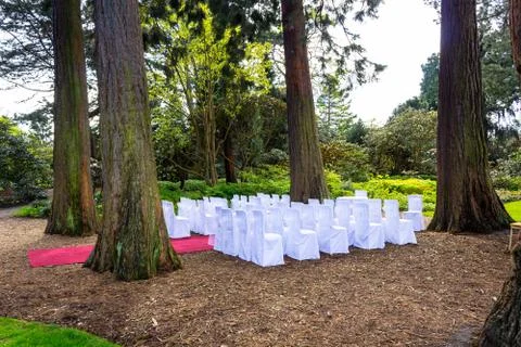 Beautiful, botanic garden in Spring. Stock Photos