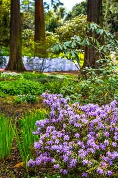 Beautiful, botanic garden in Spring. Stock Photos