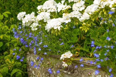 Beautiful, botanic garden in Spring. Stock Photos