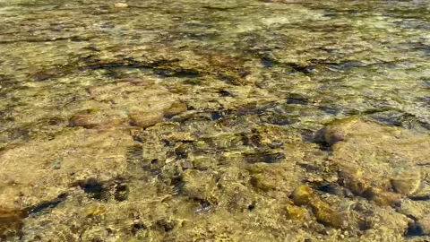 Beautiful bottom with corals at low tide. Stock Footage 239813742