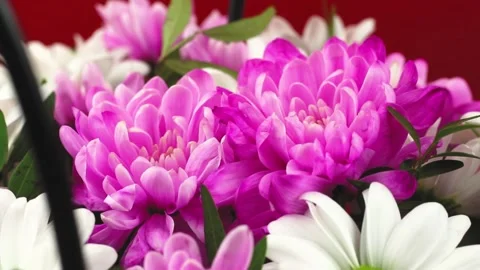 Beautiful bouquet of flowers close up presentation Stock Footage 148944729