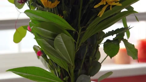 Beautiful Bouquet of Flowers in Rectangular Glass Vase Sitting in Water Stock Footage 154383939