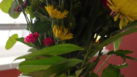 Beautiful Bouquet of Flowers in Rectangular Glass Vase Sitting in Water Stock Footage 154383943