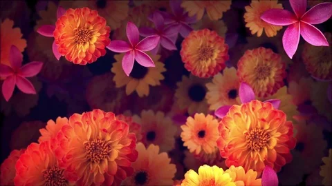 Beautiful bouquet Video stock 70775654