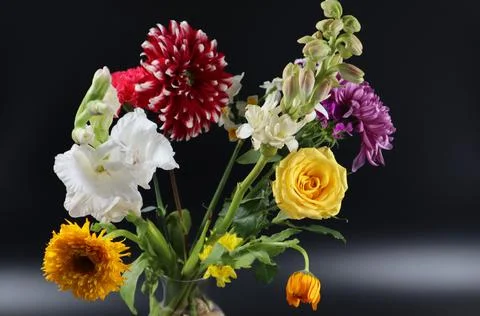 Beautiful bouquet or group of different bright flowers Stock Photos