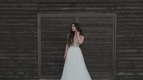 Beautiful bride on the background of the barn Vidéo 219527614