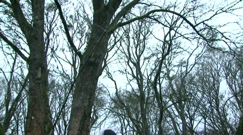 Beautiful Bride Stock Footage 4281987