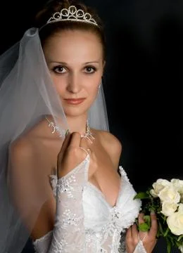 Beautiful bride Stock Photos