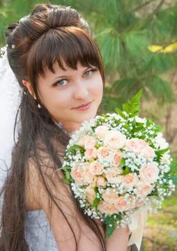 Beautiful bride Stock Photos