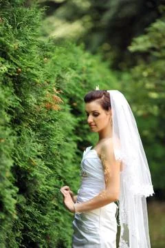 Beautiful  bride Stock Photos