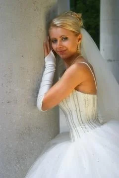 The beautiful bride Stock Photos