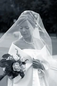 Beautiful bride Stock Photos