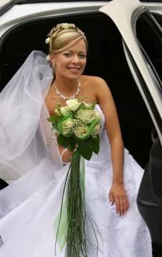 Beautiful bride Stock Photos