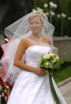 Beautiful bride Stock Photos