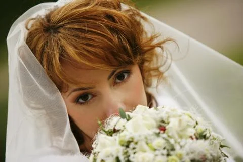 Beautiful bride Stock Photos
