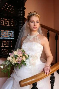 Beautiful bride Stock Photos