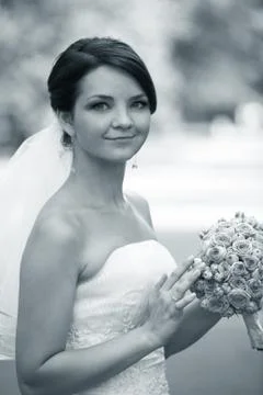 Beautiful bride Stock Photos