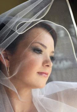 Beautiful bride Stock Photos